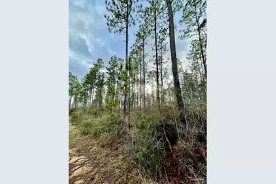 3700 Block Hwy 168, Century, FL 32535 - Photo 1