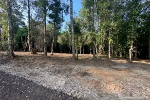 6322 Donna Dr, Molino, FL 32577 - Photo 1