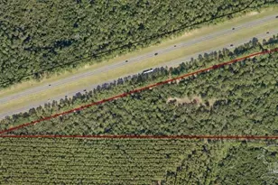 000 Big Buck Rd, Harold, FL 32563 - Photo 1