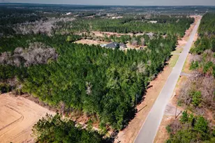 16-Br Buffalo Ridge Rd, Pace, FL 32571 - Photo 1