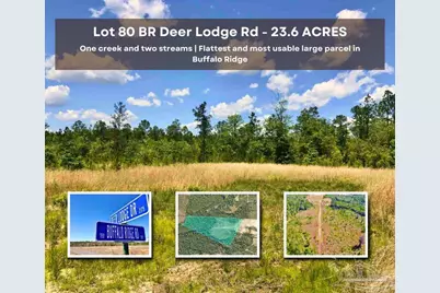 Lot 80 Br Deer Lodge Dr, Pace, FL 32571 - Photo 1