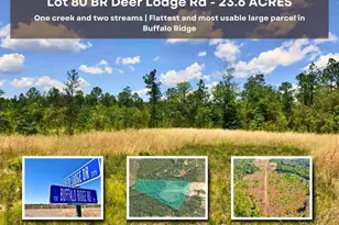 Lot 80 Br Deer Lodge Dr, Pace, FL 32571 - Photo 1