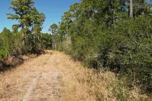 Robinson Point Rd, Milton, FL 32583 - Photo 1
