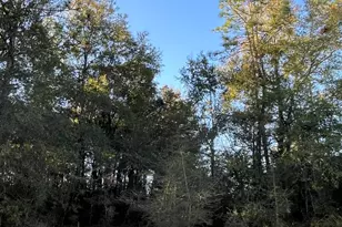 00000 S Lakeview Dr, Crestview, FL 32536 - Photo 1