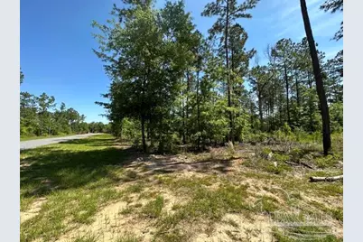 17 Steele Meadow Dr, Pace, FL 32571 - Photo 1