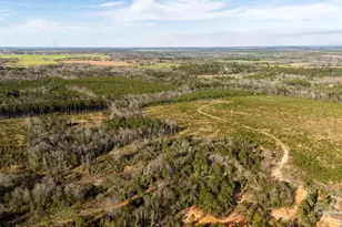 24D Polktown Rd, Jay, FL 32565 - Photo 1