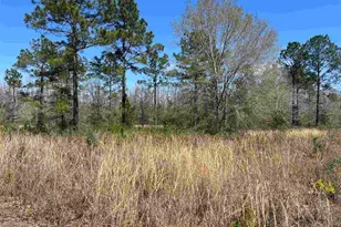 6828 Tranquility Trl, Pace, FL 32571 - Photo 1