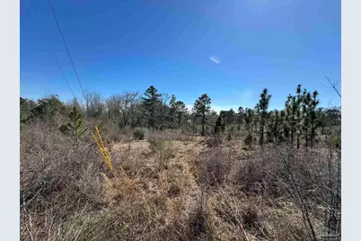 Lot 1 Will Jones Rd, Jay, FL 32565 - Photo 1