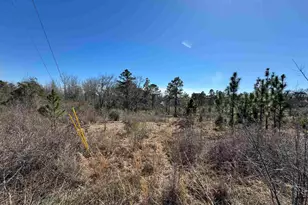 Lot 1 Will Jones Rd, Jay, FL 32565 - Photo 1