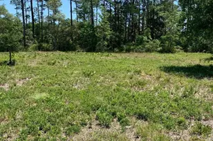 943 Turnbuckle Trail, Pensacola, FL 32507 - Photo 1