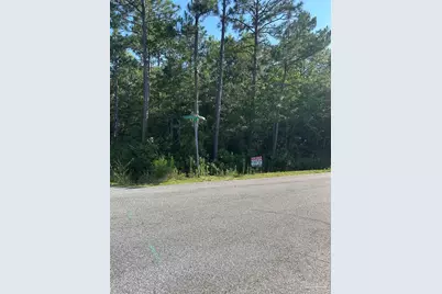 0000 Dickerson City Rd, Bagdad, FL 32583 - Photo 1