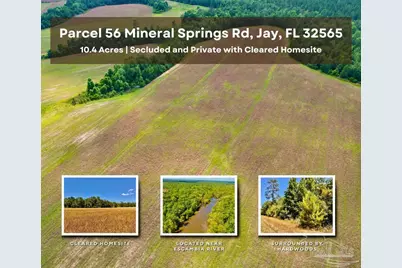 Lot 56 Mineral Springs Rd, Jay, FL 32565 - Photo 1