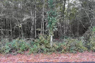 Lot 12 Horace Lunsford Rd, Milton, FL 32570 - Photo 1