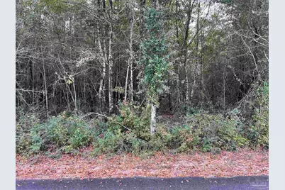 Lot 16 Horace Lunsford Rd, Milton, FL 32570 - Photo 1