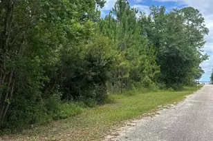 0000 Grey Heron Dr, Bagdad, FL 32583 - Photo 1