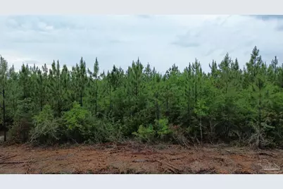 Lot 9 Pineview Church Rd, Jay, FL 32565 - Photo 1