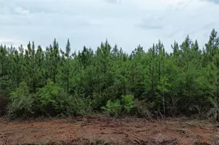 Lot 9 Pineview Church Rd, Jay, FL 32565 - Photo 1