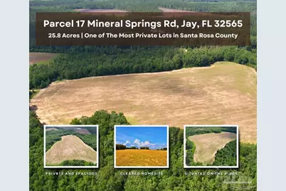 Parcel 17 Mineral Springs Rd, Jay, FL 32565 - Photo 1