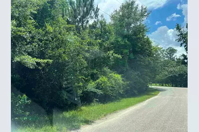 Lot 1 Pine Meadows Loop Rd, Pace, FL 32571 - Photo 1