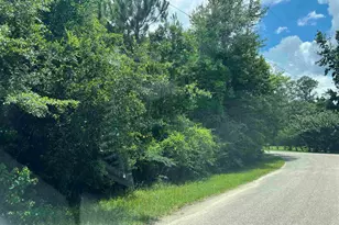 Lot 1 Pine Meadows Loop Rd, Pace, FL 32571 - Photo 1