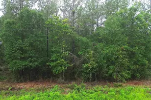 Lot 86 Pineview Church Rd, Jay, FL 32565 - Photo 1