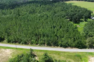 Lot 23 Sid Hayes Rd, Jay, FL 32565 - Photo 1