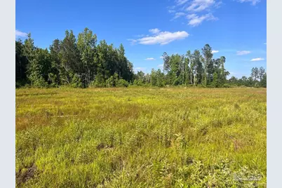 Lot 16-C Hwy 29, Molino, FL 32577 - Photo 1