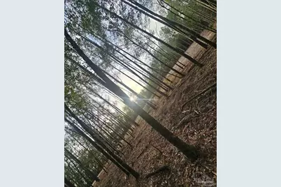 5810 Colts Crossing Ln, Milton, FL 32570 - Photo 1