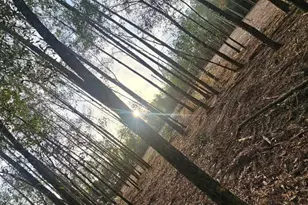 5810 Colts Crossing Ln, Milton, FL 32570 - Photo 1