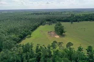 Lot 4 Hall Rd, Jay, FL 32565 - Photo 1