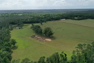 Lot 5 Hall Rd, Jay, FL 32565 - Photo 1