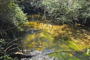 4957 Timothy Twitchell Dr, Pace, FL 32571 - Photo 1