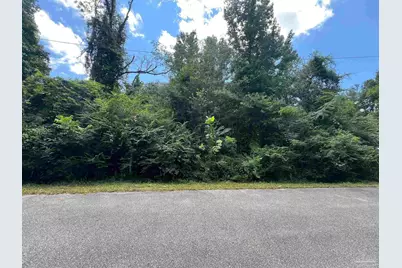 1100 Blk McKinnonville St, Molino, FL 32577 - Photo 1