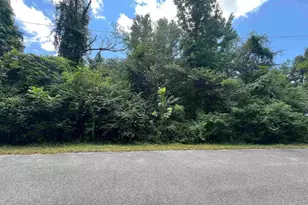 1100 Blk McKinnonville St, Molino, FL 32577 - Photo 1