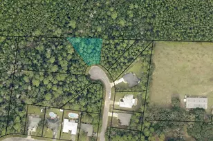 4749 Henry Wilson Creek Dri, Milton, FL 32583 - Photo 1