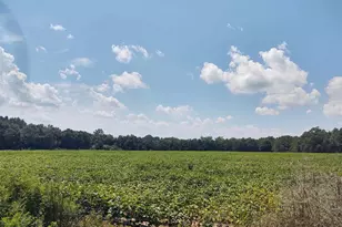 7264 Springhill Rd, Milton, FL 32570 - Photo 1