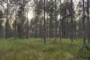 Lot 5 Wallace Lake Rd, Pace, FL 32571 - Photo 1