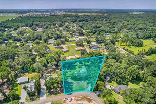 10195 W Pineview Dr, Foley, AL 36535 - Photo 1