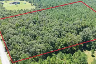 0000 Velor Rd, McDavid, FL 32568 - Photo 1