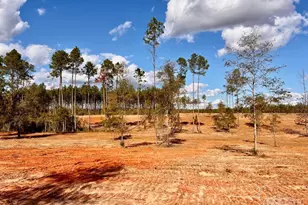 Lot 9 Denali Rd, Jay, FL 32565 - Photo 1