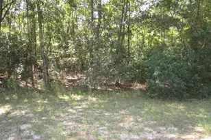 0 Electra Dr, Milton, FL 32571 - Photo 1