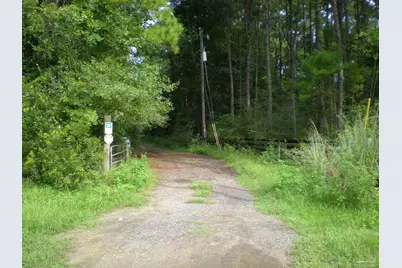 Tbd Roche Avenu Private Rd, Vernon, FL 32462 - Photo 1