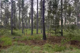 Lot 2 Wallace Lake Rd, Pace, FL 32571 - Photo 1