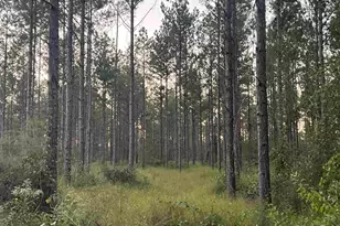 Lot 3 Wallace Lake Rd, Pace, FL 32571 - Photo 1