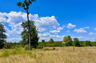 Lot 14 Morgans Branch, Molino, FL 32577 - Photo 1