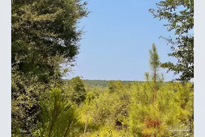 Lot 18 Morgans Branch, Molino, FL 32577 - Photo 1