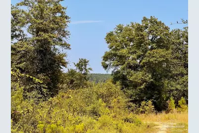 Lot 19 Morgans Branch, Molino, FL 32577 - Photo 1