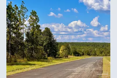 Lot 20 Morgans Branch, Molino, FL 32577 - Photo 1