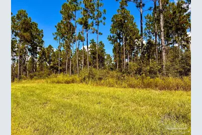 Lot 21 Morgans Branch, Molino, FL 32577 - Photo 1