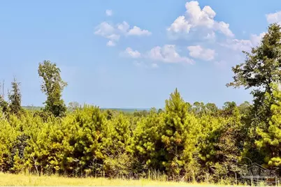 Lot 24 Morgans Branch, Molino, FL 32577 - Photo 1